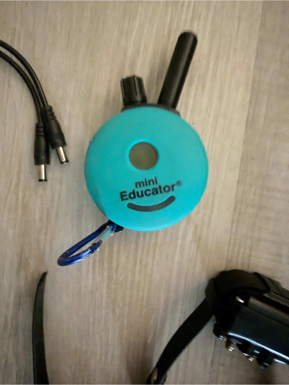 300 Series E Collar dog Receiver - Teal